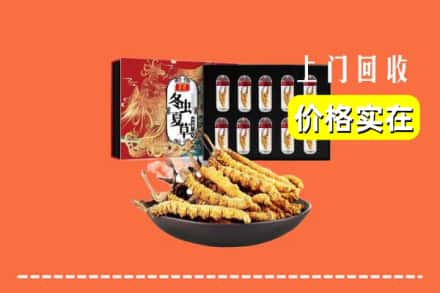 九江湖口县回收冬虫夏草